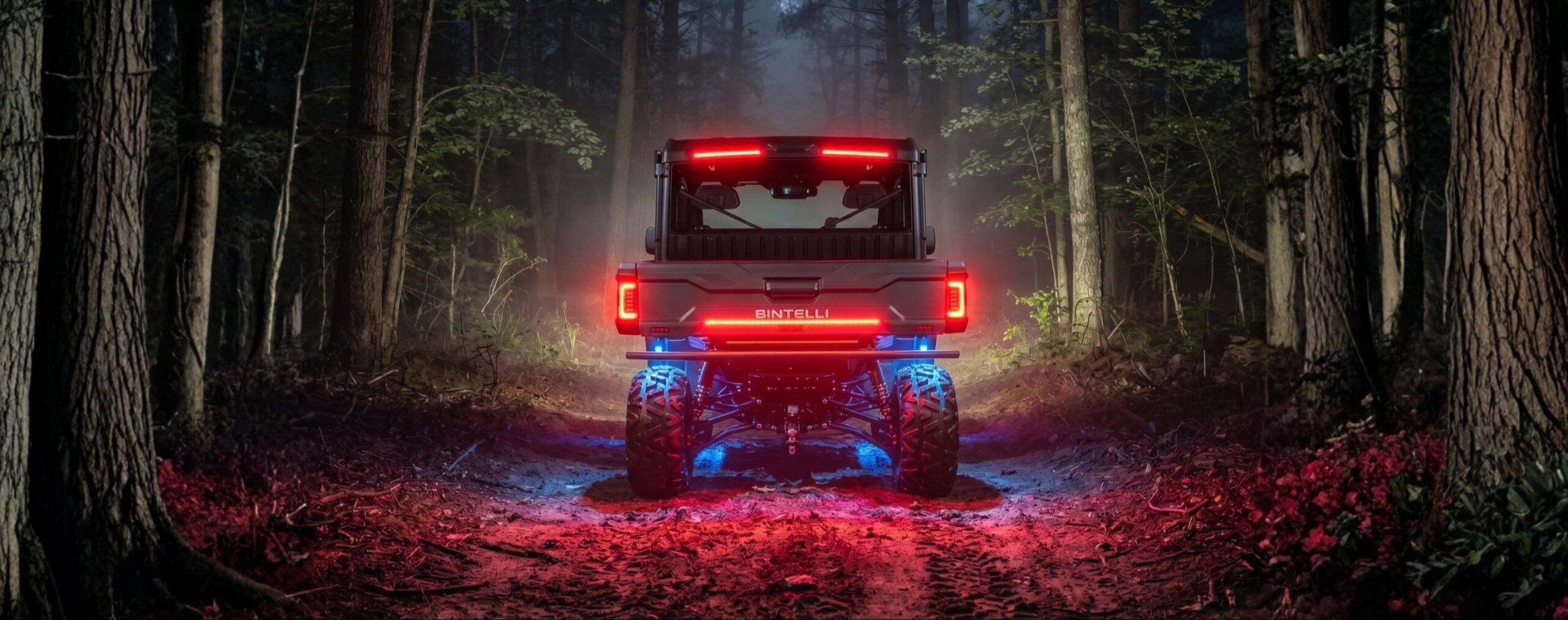 Powersport Dealer, Golf Cart Dealer, Bintelli, BMS Motorsports, Denago, Epic, Evolution, Icon, Icebear, Forest River Trailers, Stealth Trailers, Landmaster, Roketa, Star, SIVO, Tomberlin