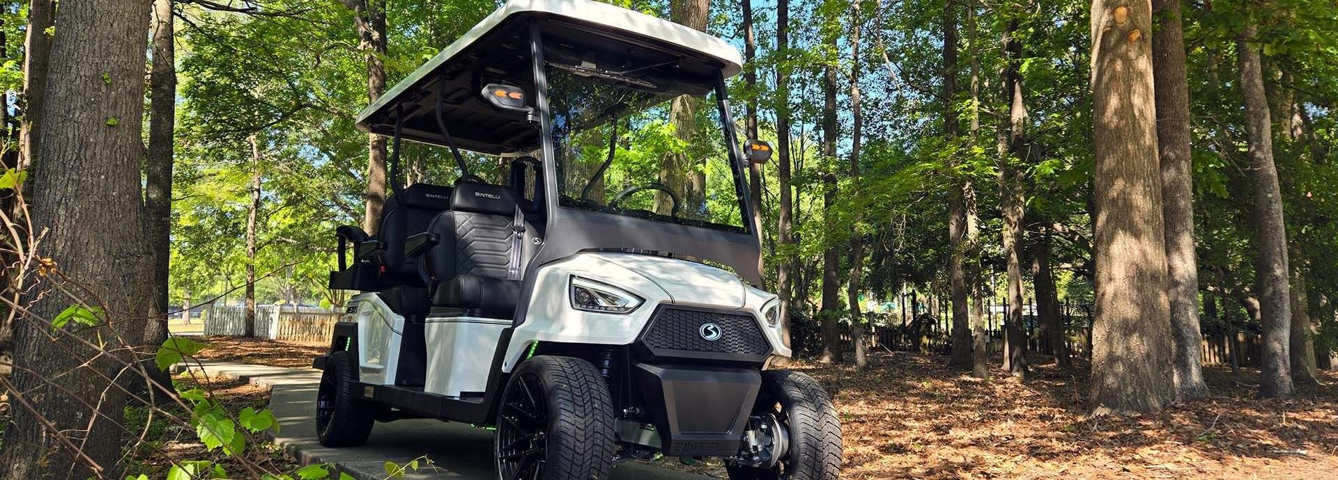 Powersport Dealer, Golf Cart Dealer, Bintelli, BMS Motorsports, Denago, Epic, Evolution, Icon, Icebear, Forest River Trailers, Stealth Trailers, Landmaster, Roketa, Star, SIVO, Tomberlin
